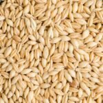 Barley Grains
