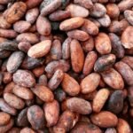 Cocoa Beans