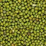 Green Mung Bean