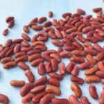 Kidney Beans