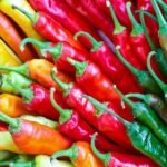 Fresh Cayenne Pepper