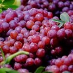 Fresh Grapes